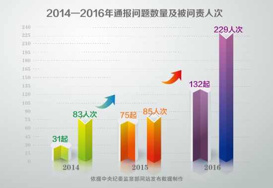 238起责任追究典型问题