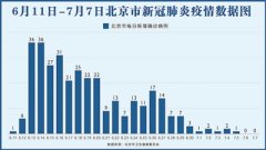 运用大数据提升治理水平 北京精准快速找出新冠肺炎确诊病例的启示