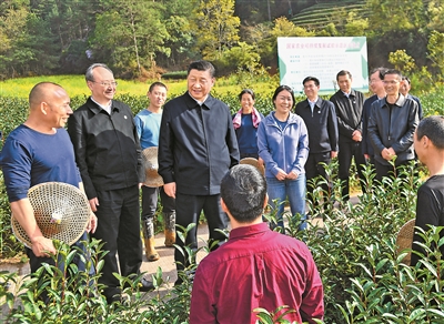 3月22日至25日，中共中央总书记、国家主席、中央军委主席习近平在福建考察。这是22日下午，习近平在南平武夷山市星村镇燕子窠生态茶园，同科技特派员、茶农亲切交流，了解当地茶产业发展情况。 新华社记者 燕雁 摄