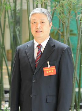 全国政协委员，安徽省高级人民法院副院长、民盟安徽省委副主委汪利民