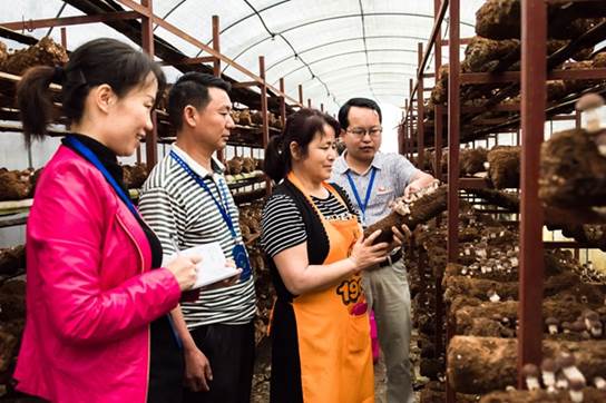 纪检监察干部在产业基地核查问题线索