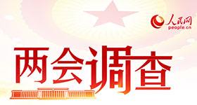 人民网开展2019年度“两会调查”  正风反腐和依法治国最受关注