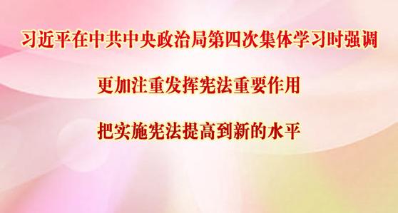 更加注重发挥宪法重要作用 把实施宪法提高到新的水平